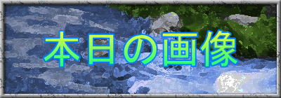 {̉摜